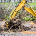 Dealing with Tree Issues: The Safe and Smooth Stump Grinding Approach